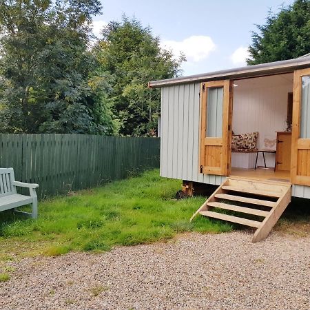 Kirklevington The Llama Hut מראה חיצוני תמונה