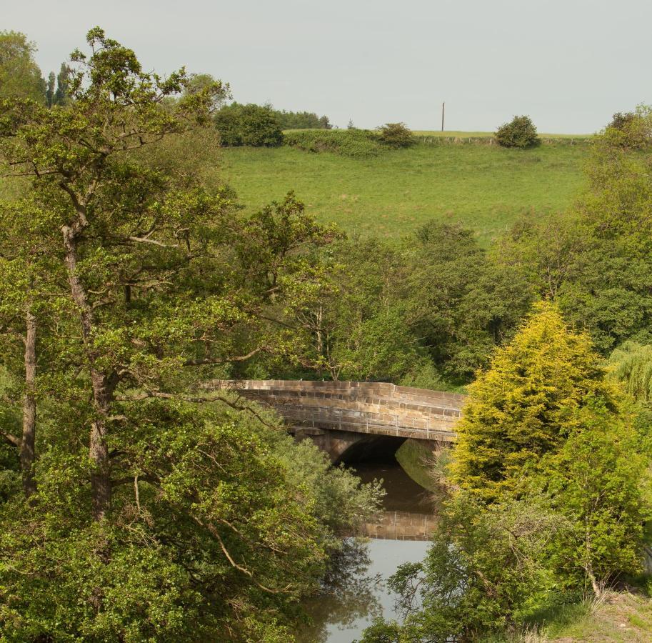 Kirklevington The Llama Hut מראה חיצוני תמונה